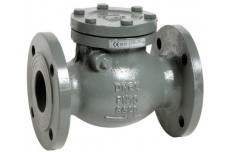 Swing check valve